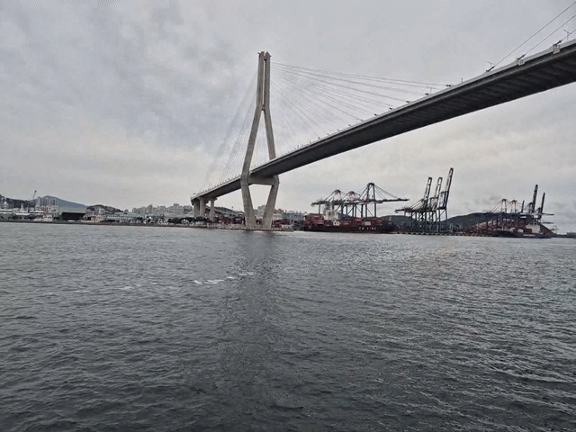 [현장]물류 허브 \ BPT\ … 430만 컨테이너 오가는 현장 속으로