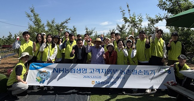 [더밸류 브리핑] 오늘의 보험 소식…삼성화재·KB손보·NH농협생명
