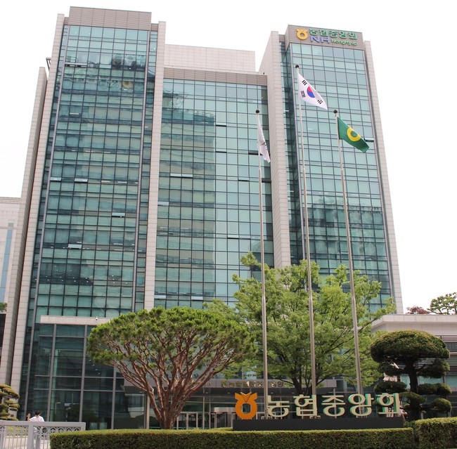 농협중앙회, 8876억 규모 장기연체채권 \ 소각\  \ 감면\  포용...李 대통령 채무조정 강화책에 호응