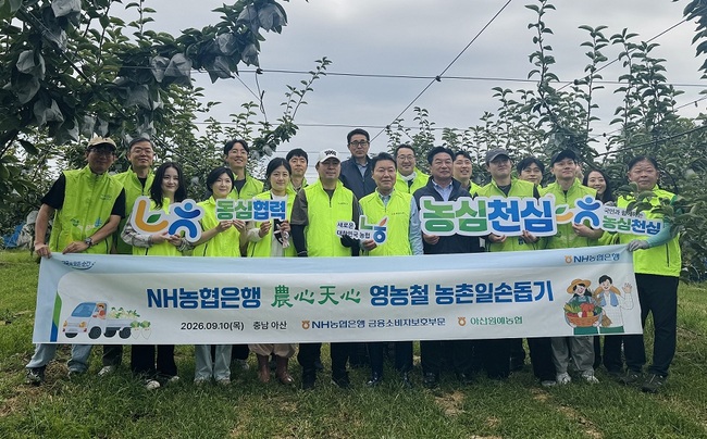 기사이미지