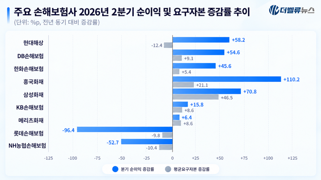 수익 같아도 실속은 \ 딴판\ …손해보험사 순이익 뒤 ‘요구자본’ 뜯어보니