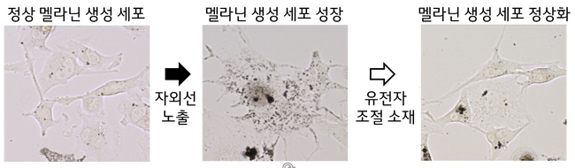 지도이(가) 표시된 사진

자동 생성된 설명