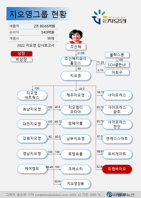 지오영, 지난해 최대 실적 달성하고 올해 매각 추진 본격화…새 주인 나타나며 지배구조 부각