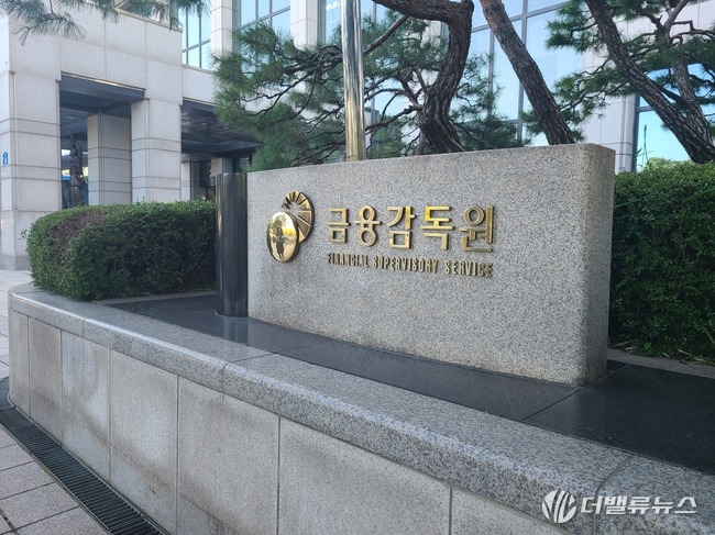 카카오페이 이어 네이버페이·토스도 개인정보 유출 의혹…금감원 현장검사 확대